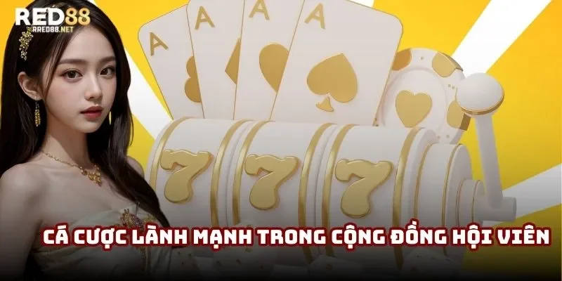 Hỗ trợ cá cược lành mạnh trong cộng đồng hội viên