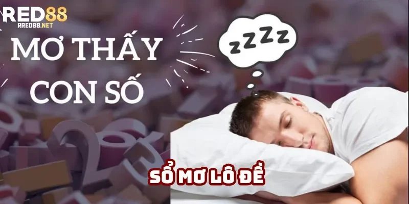 Sổ Mơ Lô Đề – Giải Mã Những Giấc Mộng Để Tìm Số Phát Tài